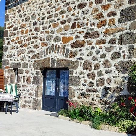 Апартаменти La Basse-Cour Вік-сюр-Сер Екстер'єр фото